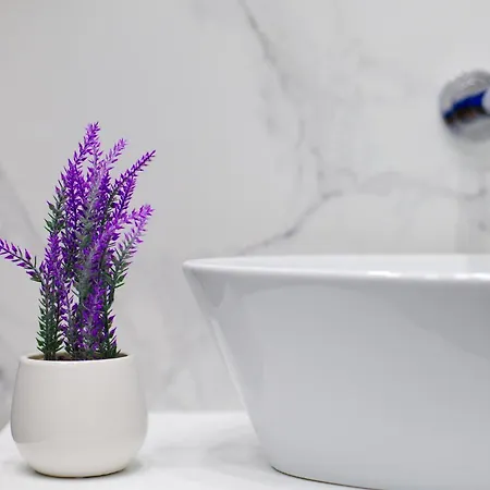 Quintal - Kacik קרקוב